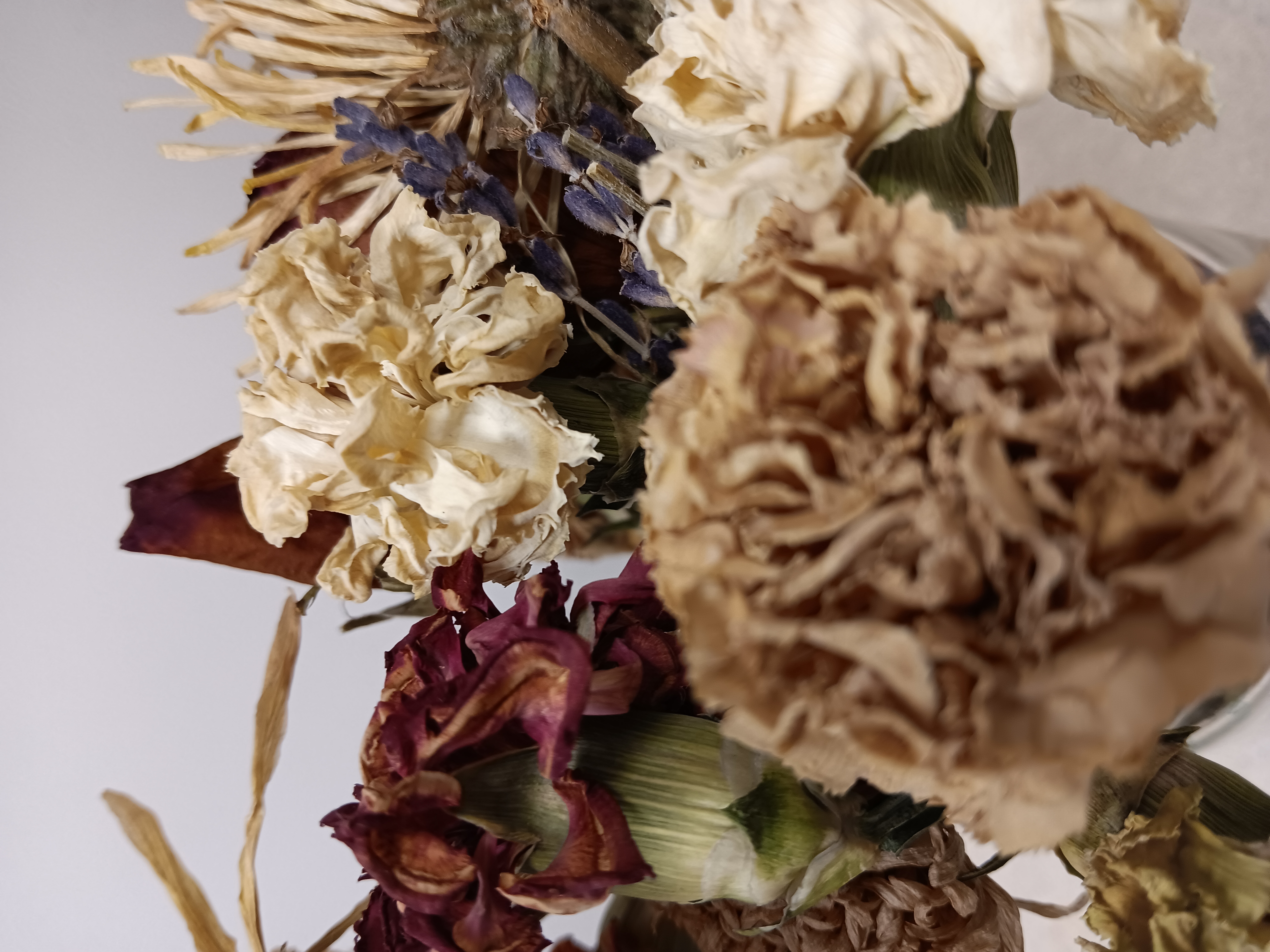 Photo of dried flowers in a vase.