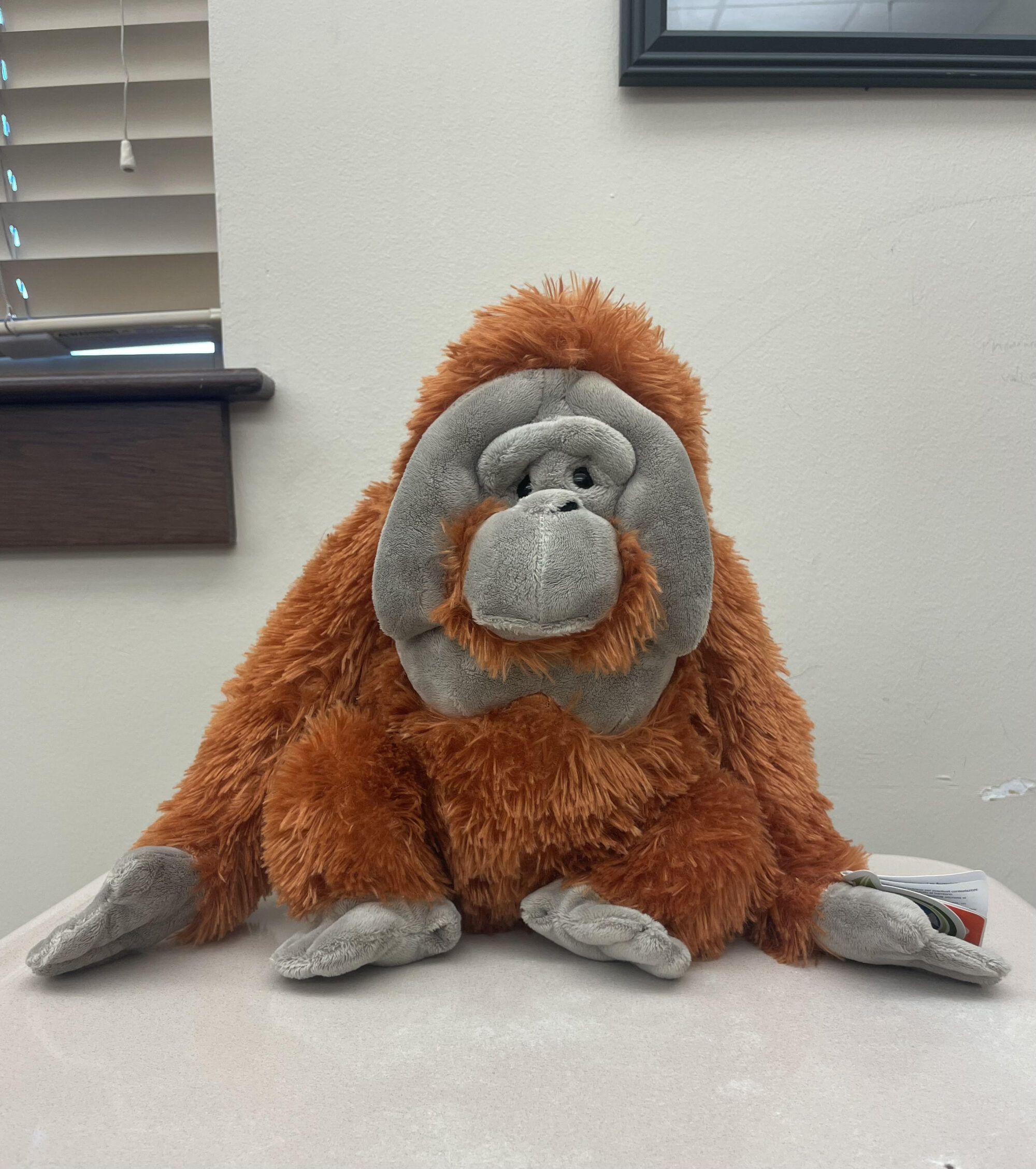 Photo of a stuffed orangutan.