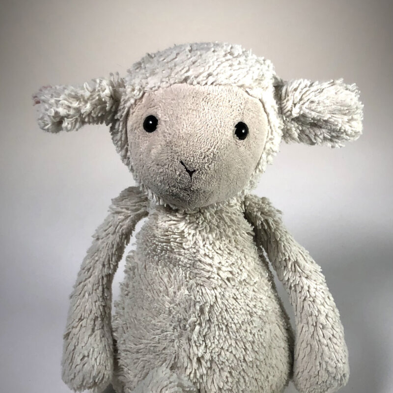Photo of a child's white lamb stuffed animal.